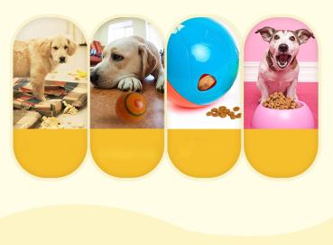 360Home Haustier Futterspender Futter Spielzeug Ball